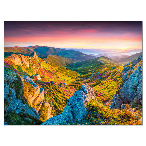 DesignArt Pink Rhododendron Flowers Wrapped Canvas Graphic Art Print